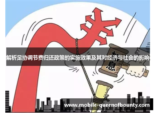 解析足协调节费归还政策的实施效果及其对经济与社会的影响