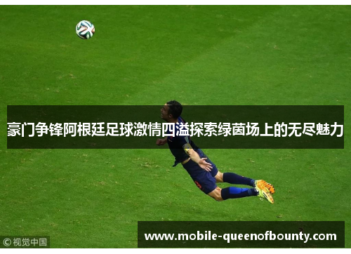 豪门争锋阿根廷足球激情四溢探索绿茵场上的无尽魅力